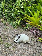 Casa com Piscina em Gov Celso Ramos - SC