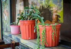 Cabinas las Manzanas Bed y Breakfast