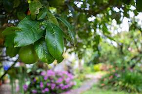 Cabinas las Manzanas Bed y Breakfast