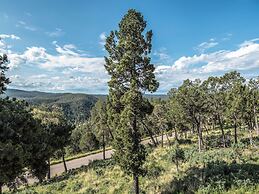 416avalonnhsmtnhs - Avalon