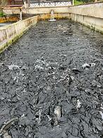 Yesilalan Hotel Caykara