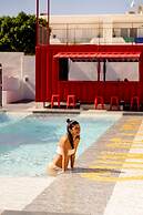 Ryans Lolas - Adults Only