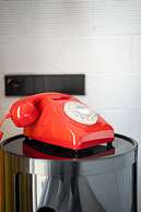 Ryans Lolas - Adults Only