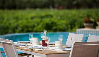 Aneli Villas - Villa Anastasia