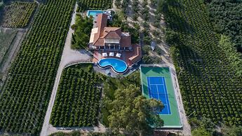 Aneli Villas - Villa Anastasia