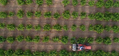 Aneli Villas - Villa Anastasia