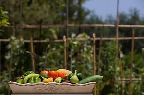 Aneli Villas - Villa Semeli