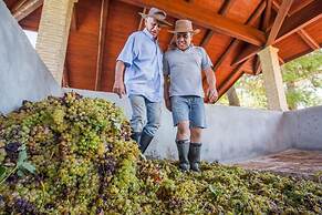 Aneli Villas - Villa Alexandra