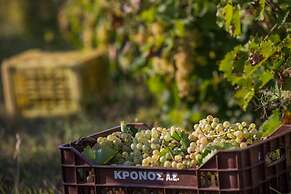 Aneli Villas - Villa Alexandra