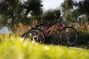 Aneli Villas - Villa Elissavet