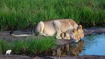 Sungulwane Private Game Lodge