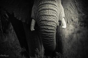 Sungulwane Private Game Lodge