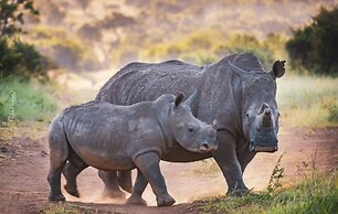 Sungulwane Private Game Lodge