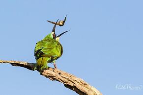 Sungulwane Private Game Lodge