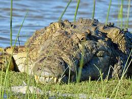 Makakatana Bay Lodge