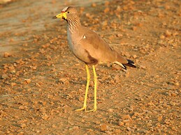 Makakatana Bay Lodge