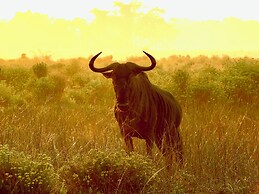 Makakatana Bay Lodge