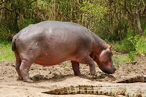 Makakatana Bay Lodge