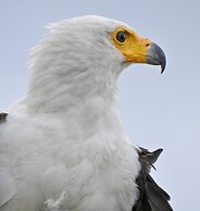 Makakatana Bay Lodge