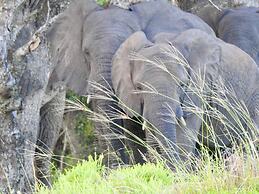 Makakatana Bay Lodge