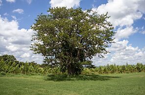 Hotel Fazenda Bela Vista