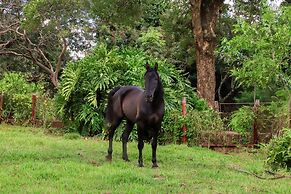 Hotel Fazenda Bela Vista