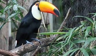 Hotel Fazenda Bela Vista