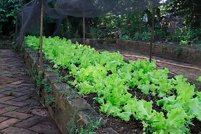 Hotel Fazenda Bela Vista