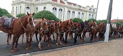 Hotel Fazenda Bela Vista