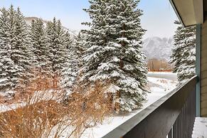 Riverside Condos A103 by Avantstay Condo Close To Downtown, Town Park 