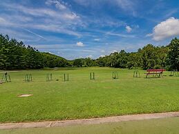 Bear Hug - Cabin Comfort - Outdoor Pool - Walking Trails -family/group