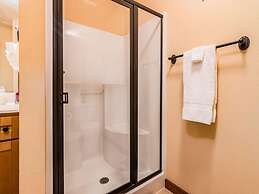 Bear Hug - Cabin Comfort - Outdoor Pool - Walking Trails -family/group