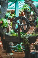 Pantanal - Pousada Sia Mariana