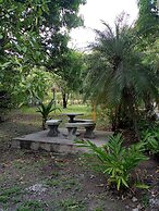 Ostional Turtle Lodge