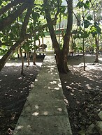 Ostional Turtle Lodge