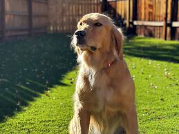 Alpine Drive #106b by Summit County Mountain Retreats