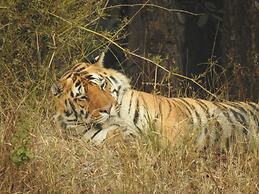 Saccharum Safari Lodge