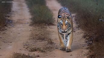 Saccharum Safari Lodge