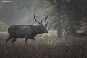 Saccharum Safari Lodge