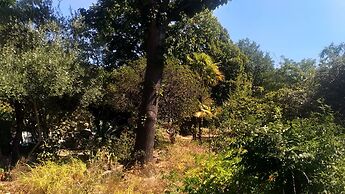Les Jardins d'Arbousse