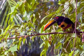 Luxe 4 Bdrm Villa w Epic Oceanview Infinity Pool