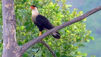 Luxe 4 Bdrm Villa w Epic Oceanview Infinity Pool