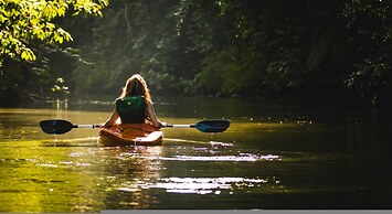 Luxe 4 Bdrm Villa w Epic Oceanview Infinity Pool