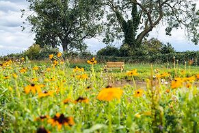 Veiko - Mayflower Meadow