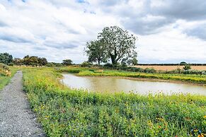 Andrus - Mayflower Meadow
