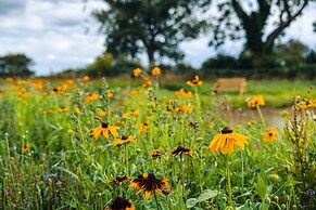 Andrus - Mayflower Meadow