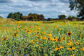 Indrek - Mayflower Meadow