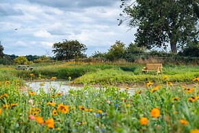 Indrek - Mayflower Meadow