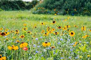 Indrek - Mayflower Meadow