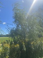 Dreamers Writing Farm